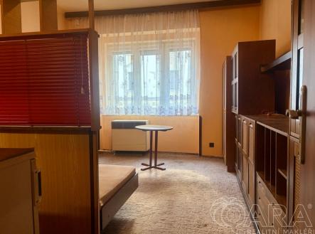 fotografie | Pronájem bytu, 1+kk, 16 m²