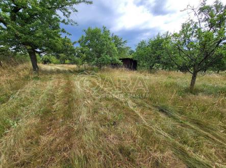fotografie | Prodej - pozemek pro bydlení, 2 142 m²