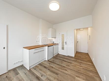 Pronájem bytu, 1+kk, 17 m² obrázek