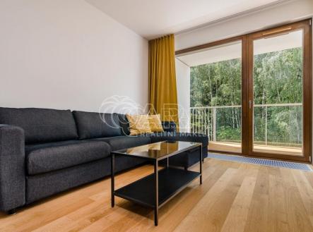 20231004134244-797.jpg | Pronájem bytu, 2+kk, 53 m²