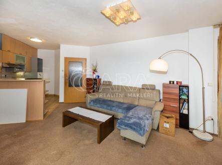 fotografie | Prodej bytu, 1+1, 58 m²