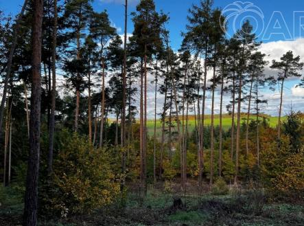 fotografie | Prodej - pozemek, les, 8 586 m²