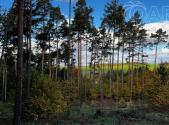 Prodej - pozemek, les, 8 586 m²