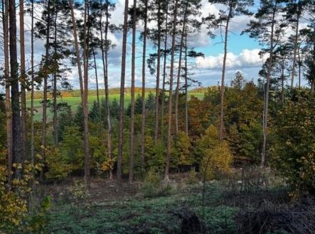 fotografie | Prodej - pozemek, les, 8 586 m²