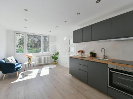 001.jpeg | Prodej bytu, 2+kk, 39 m²