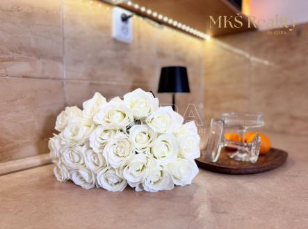 fotografie | Prodej bytu, 1+kk, 16 m²