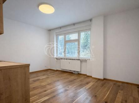 fotografie | Pronájem bytu, 1+kk, 26 m²