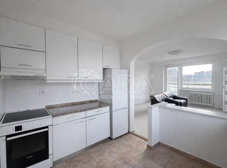 fotografie | Pronájem bytu, 4+1, 102 m²