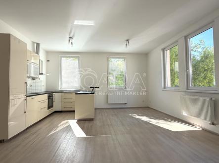 IMG_0953.jpeg | Pronájem bytu, 3+kk, 95 m²