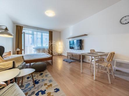 DSCF6052-HDR.jpg | Pronájem bytu, 1+kk, 32 m²