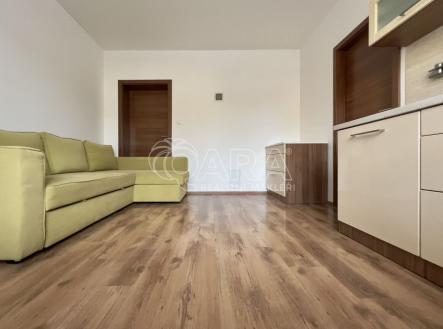 fotografie | Pronájem bytu, 2+kk, 32 m²