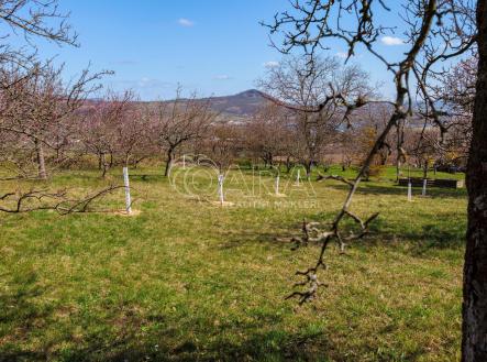 Lhotka n. L (10).jpg | Prodej - pozemek, zahrada, 1 403 m²