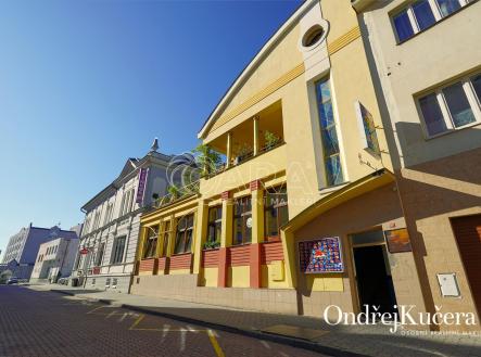 osvobozenych-politickych-veznu-c-p--341-kladno_www-osobnirealitnimakler-cz_ondrej-kucera_01.jpg | Prodej - nájemní dům, 1 000 m²