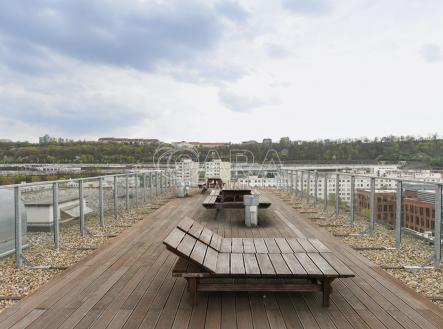 společná terasa | Pronájem bytu, 3+kk, 42 m²