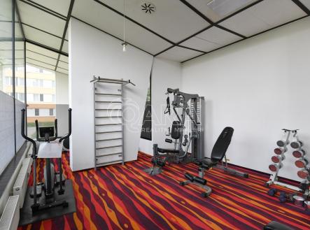posilovna  | Pronájem bytu, 3+kk, 42 m²
