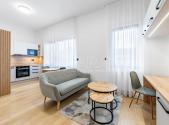 Pronájem bytu, 1+kk, 31,4 m²