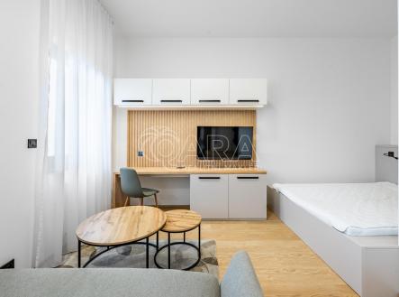 2025_09_26_120873-HDR.jpg | Pronájem bytu, 1+kk, 31,4 m²