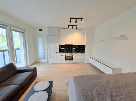 13.jpg | Pronájem bytu, 1+kk, 37 m²