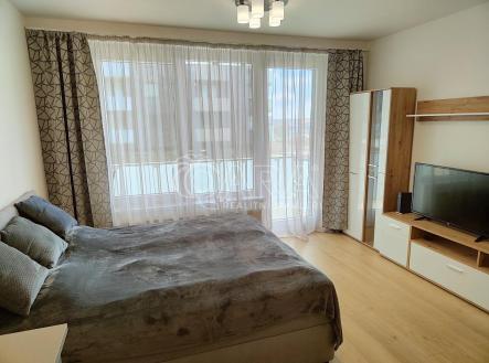 IMG20230405114723.jpg | Pronájem bytu, 1+kk, 38 m²