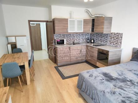 IMG20230405114744.jpg | Pronájem bytu, 1+kk, 38 m²