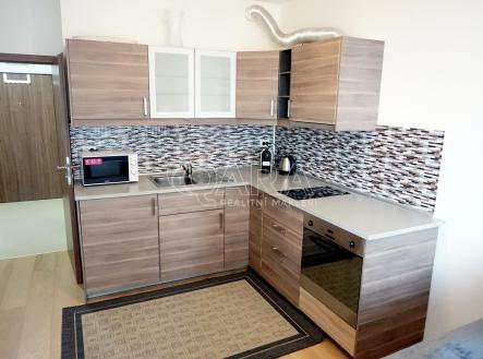 DSC01670.JPG | Pronájem bytu, 1+kk, 38 m²