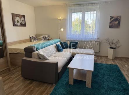 byt NJ Anenská 02.JPG | Pronájem bytu, 1+1, 35 m²