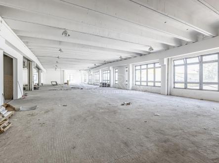 4.jpg | Pronájem - obchodní prostor, 10 000 m²