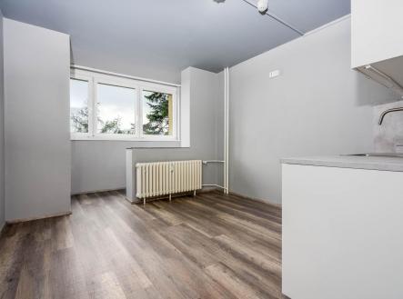 DSC02063-Edit.jpg | Prodej bytu, 1+kk, 24 m²