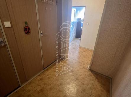 IMG_6234.jpeg | Pronájem bytu, 2+kk, 4 973 m²