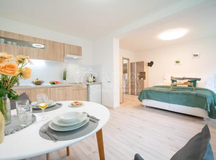 DSC07595.jpg | Pronájem bytu, 2+kk, 36 m²