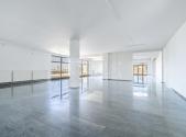 Pronájem - obchodní prostor, 330 m²