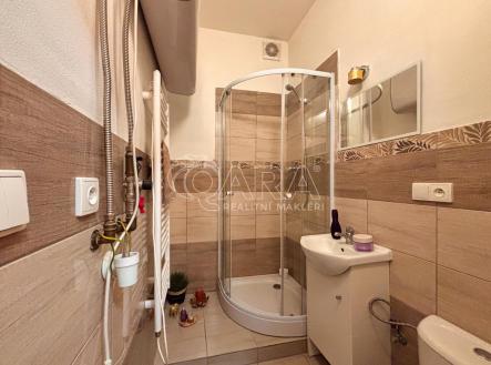 Prostejov-atelier-13.jpeg | Pronájem bytu, 1+kk, 23 m²
