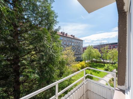 Byt Gruzinska (5 of 19).jpg | Pronájem bytu, 2+1, 53 m²