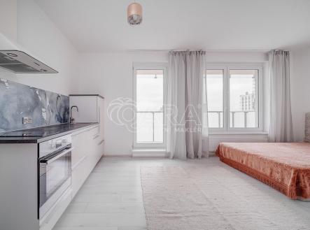 241105_BYT_Praha_Britska_ctvrt_11.jpg | Pronájem bytu, 1+kk, 30 m²