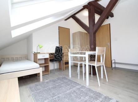 fotografie | Pronájem bytu, 1+kk, 19 m²