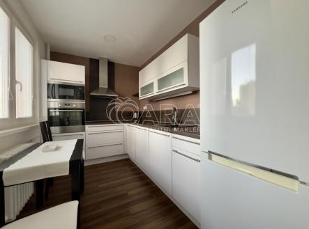 IMG_3793.jpg | Pronájem bytu, 1+1, 48 m²