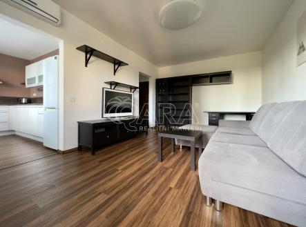 IMG_3802.jpg | Pronájem bytu, 1+1, 48 m²