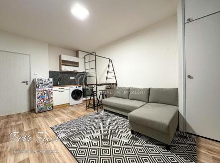 IMG_4432.JPG | Pronájem bytu, 1+kk, 26 m²