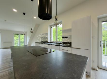 IMG_2017.jpeg | Pronájem bytu, 1+kk, 65 m²