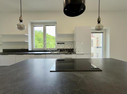 IMG_2018.jpeg | Pronájem bytu, 1+kk, 65 m²
