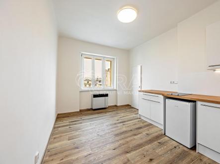 250416 Foto realitka bez znaku (1).jpg | Pronájem bytu, 1+kk, 17 m²