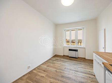250416 Foto realitka bez znaku (2).jpg | Pronájem bytu, 1+kk, 17 m²