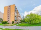 Pronájem bytu, 1+kk, 31 m²