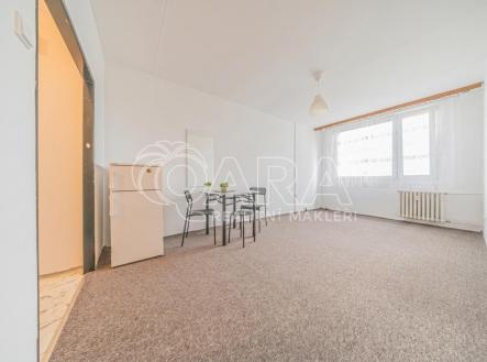 013.jpg | Pronájem bytu, 1+kk, 31 m²