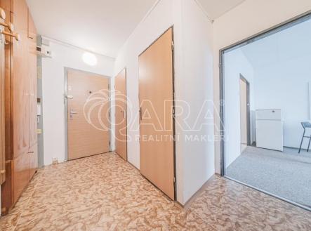 003.jpg | Pronájem bytu, 1+kk, 31 m²
