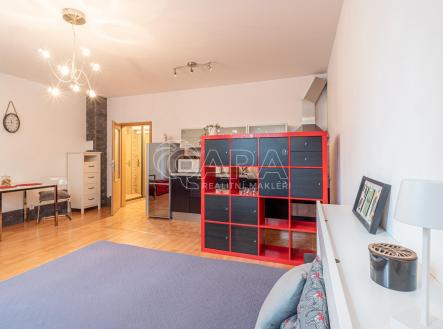 13.jpg | Pronájem bytu, 1+kk, 35 m²