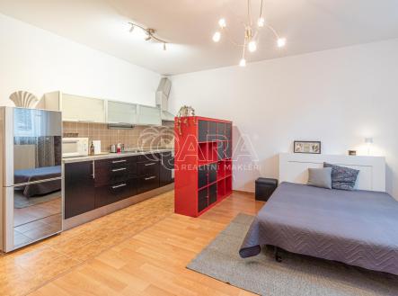 15.jpg | Pronájem bytu, 1+kk, 35 m²