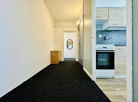 IMG_6198.jpeg | Pronájem bytu, 2+1, 58 m²