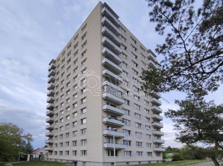 DU1.jpg | Pronájem bytu, 1+kk, 24 m²