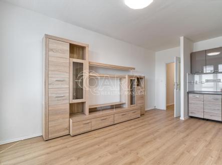DSC00238_hdr.jpg | Pronájem bytu, 1+kk, 26 m²